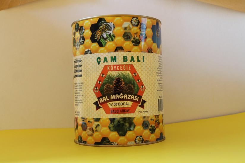 ÇAM BALI 4850 GR